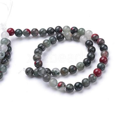 Natural African Bloodstone Beads Strands G-R345-8mm-50-1