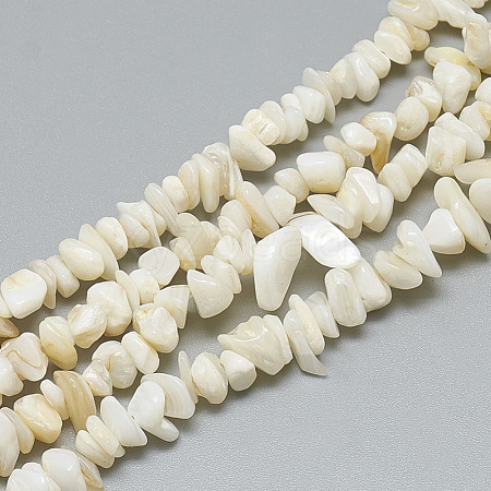 Freshwater Shell Beads Strands SHEL-S270-20-1