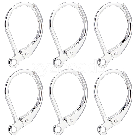 100Pcs 316L Surgical Stainless Steel Leverback Earring Findings STAS-BBC0010-61S-1
