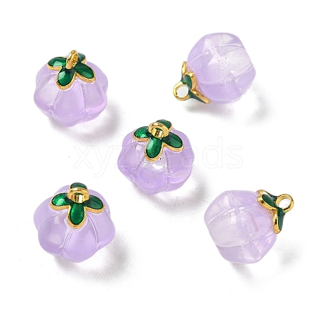 Glass Charms GLAA-P072-04G-05-1