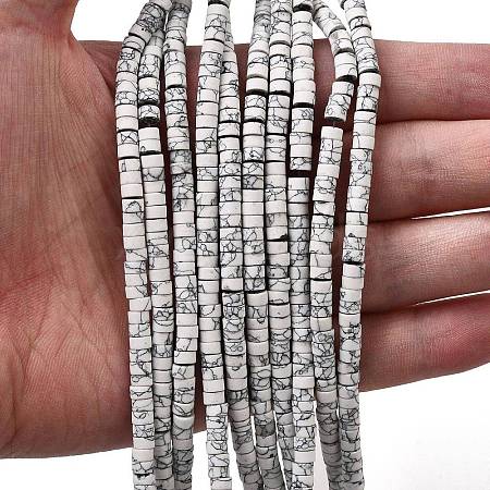 Dyed Synthetic Turquoise Beads Strands G-Z089-A04-B-1
