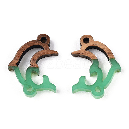 Opaque Resin & Walnut Wood Connector Charms RESI-N039-46E-1