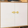 Pumpkin Aluminium Alloy Drawer Pull Handles FIND-WH0400-54-3