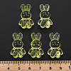 Transparent Acrylic Beads MACR-S373-81-B06-5