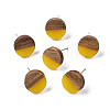 Opaque Resin & Walnut Wood Stud Earrings EJEW-N017-008-B05-1