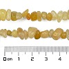 Natural Topaz Jade Chip Beads Strands G-M205-16A-4