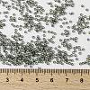 MIYUKI Round Rocailles Beads X-SEED-G009-RR0021-4