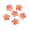Imitation Candy Food Style Resin Cabochons RESI-R461-02A-2