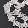 Natural Quartz Crystal Beads Strands G-F212-02-2