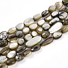 Natural White Shell Beads Strands SHEL-N036-21-2