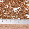 MIYUKI Delica Beads SEED-J020-DB2287-4