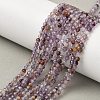 Natural Purple Phantom Quartz Purple Lodolite Quartz Beads Strands G-S385-01-1
