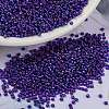 MIYUKI Round Rocailles Beads X-SEED-G009-RR1020-1