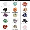 Natural Gemstone Chips Beads G-NB0001-53-3