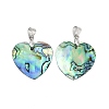 Natural Abalone Shell/Paua Shell Pendants X-SSHEL-M024-01-1