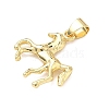 Brass Pendants KK-H539-19C-G-2