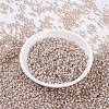 MIYUKI Round Rocailles Beads X-SEED-G008-RR0579-2