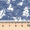 MIYUKI Delica Beads X-SEED-J020-DB2408-3
