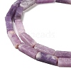 Natural Lepidolite/Purple Mica Stone Beads Strands G-E612-C05-B-4