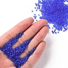 (Repacking Service Available) Glass Seed Beads SEED-C017-2mm-M6-4
