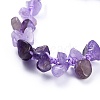 Adjustable Natural Amethyst Chip Beads Braided Bead Bracelets X-BJEW-JB04392-02-2