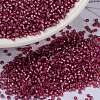 MIYUKI Round Rocailles Beads SEED-G009-RR0645-1