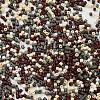 Baking Paint Glass Seed Beads X-SEED-S042-05B-55-3
