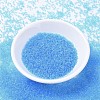 MIYUKI Delica Beads SEED-X0054-DB1109-2