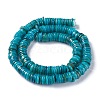 Natural Freshwater Shell Beads Strands BSHE-I016-04C-2
