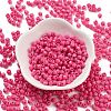 Baking Paint Glass Seed Beads SEED-A032-02M-2