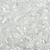 Two Cut Glass Seed Beads CSDB101-1