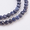 Natural Sapphire Beads Strands G-F568-137-2mm-3