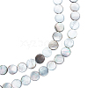BENECREAT Natural Black Lip Shell Beads Strands SHEL-BC0001-025-1