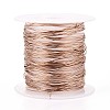 10M 304 Stainless Steel Wire TWIR-N005-0.5mm-RG-1