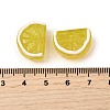 Handmade Lampwork Beads X-LAMP-S079-12C-4