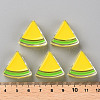 Transparent Enamel Acrylic Beads LS-TACR-S155-001H-4