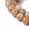 Natural Fossil Coral Beads Strands G-F648-02-C-3