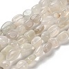 Natural White Moonstone Beads Strands G-P497-01E-69C-1