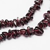 Chips Natural Garnet Beads Strands G-N0164-47-2