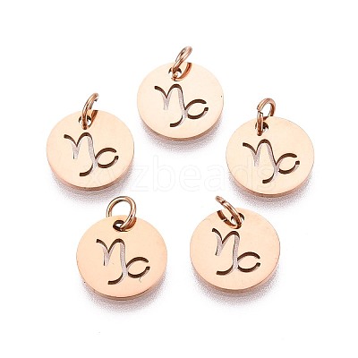 304 Stainless Steel Charms STAS-Q201-T445-10R-1