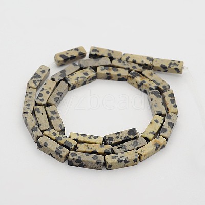 Natural Dalmatian Jasper Cuboid Beads Strands G-N0153-16-1
