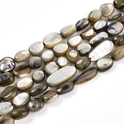 Natural White Shell Beads Strands SHEL-N036-21-1