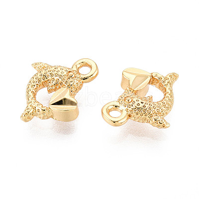 Brass Charms KK-N263-119D-G-1