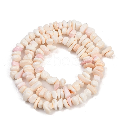Natural Pink Shell Beads Strands X-SSHEL-L016-19-1
