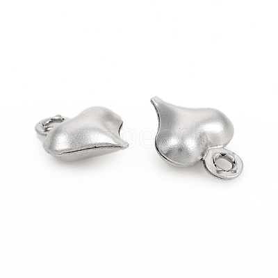 Non-Tarnish 304 Stainless Steel Charms STAS-I149-05C-P-1