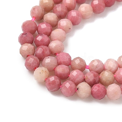 Natural Rhodonite Beads Strands G-P553-G06-02A-1