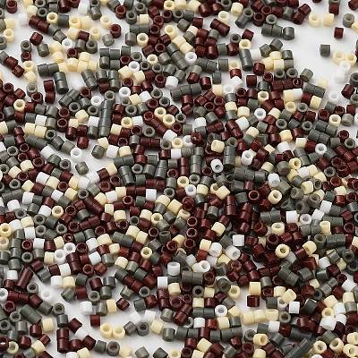Baking Paint Glass Seed Beads X-SEED-S042-05B-55-1