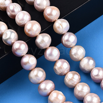 Natural Cultured Freshwater Pearl Beads Strands PEAR-N013-10B-1