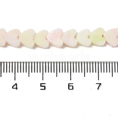 Handmade Lampwork Beads Strands LAMP-Q035-01B-1