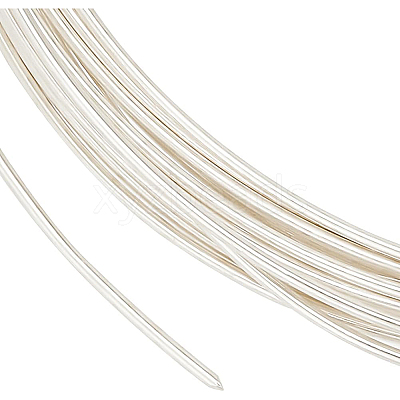 1Pc 999 Fine Silver Wire STER-BC0001-66A-1